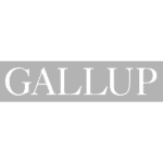 Global Learning and Sales Manager, Gallup